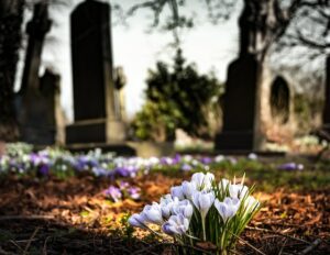 Cremation services in Sheridan, OR